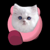 Avatar de l’utilisateur